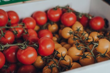 Taze kırmızı ve sarı kiraz domatesleri bir sokak pazarında satışta, seçici sığ odak noktası.