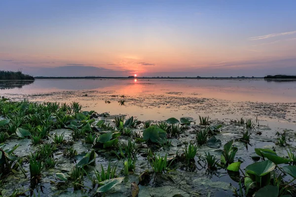 Sunrise Danube Delta Romania Europe — Stock Photo, Image