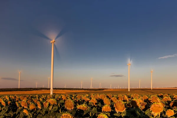 Wind Power Turbines Hill Sunrise Dobrogea Romania — Stock Photo, Image