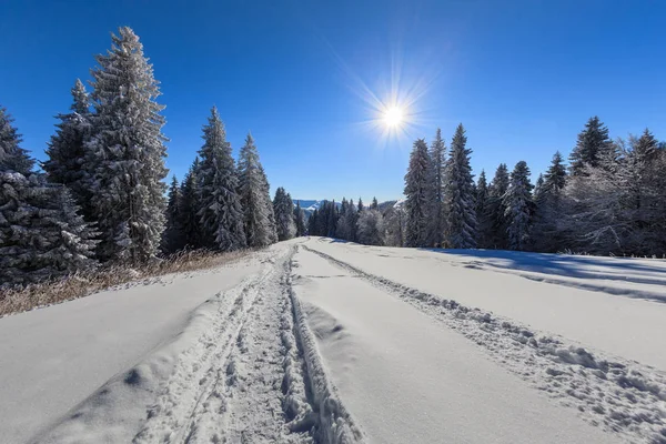 Berglandschap Winter Bucegi Bergen Roemenië — Stockfoto