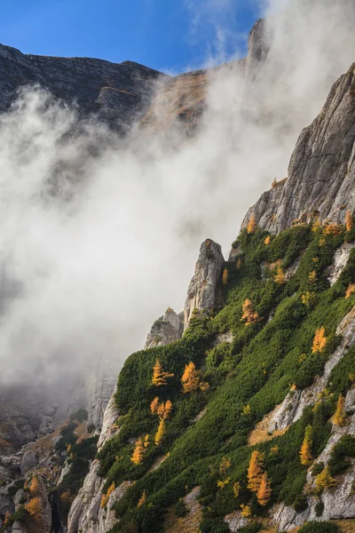 White Údolí Pohoří Bucegi Rumunsko — Stock fotografie