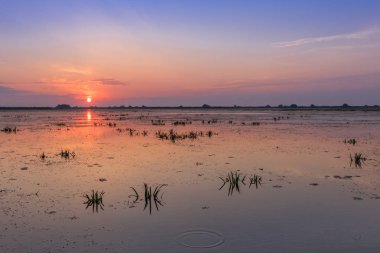 Tuna Deltası, Romanya ve Avrupa 'da gün doğumu