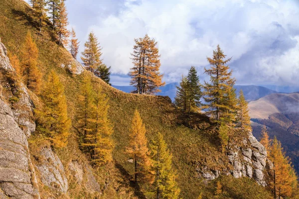 ルーマニア ブチェジ山脈の山の風景 — ストック写真