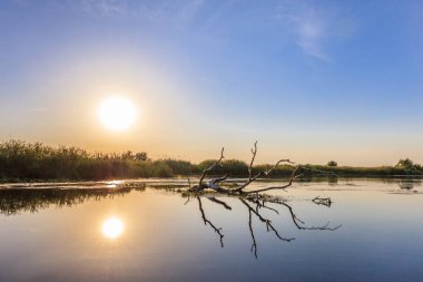 günbatımı Danube Delta, Romanya, Avrupa'nın