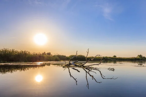 Tramonto Nel Delta Del Danubio Romania Europa — Foto Stock