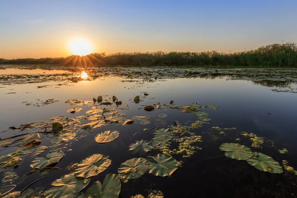 Günbatımı Danube Delta Romanya Avrupa Nın — Stok fotoğraf