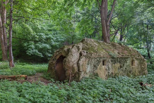 Vecchio Eremo Fundatura Rovina Del Villaggio Bozioru Buzau Romania — Foto Stock