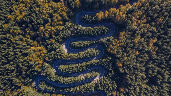 Estrada Curva Pela Floresta Passe Transilvânia Romênia Vista Aérea Drone — Fotografia de Stock