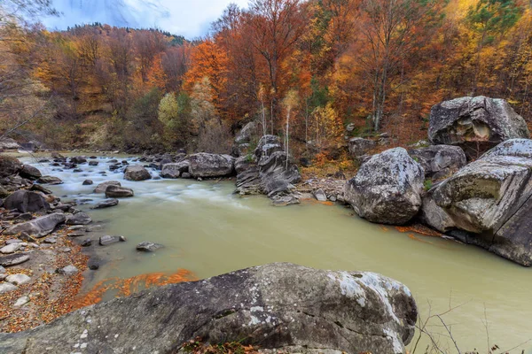 Rivière Montagne Automne Comté Buzau Roumanie — Photo