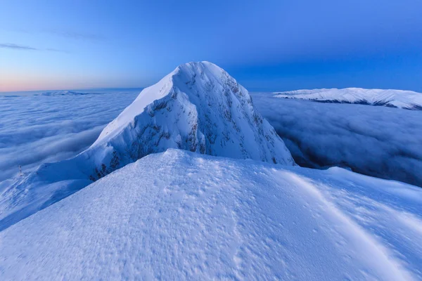 Vrchol Hory Zimě Piatra Craiului Mountains Rumunsko — Stock fotografie