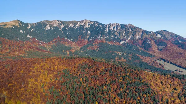 Montagne Zaganu Ciucas Massif Carpates Roumaines — Photo