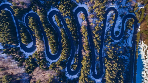 Strada curva attraverso la foresta — Foto Stock