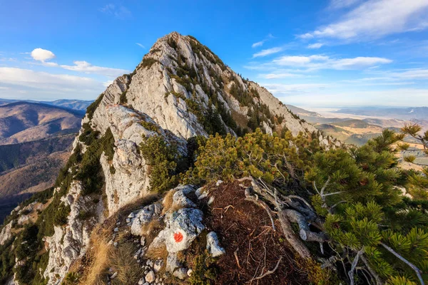 Paysage Montagne Dans Les Montagnes Piatra Craiului Roumanie — Photo