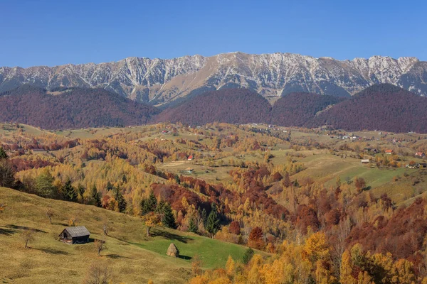 Landschap Met Roemeense Dorp Autumnl Buurt Van Piatra Craiului Mountains — Stockfoto