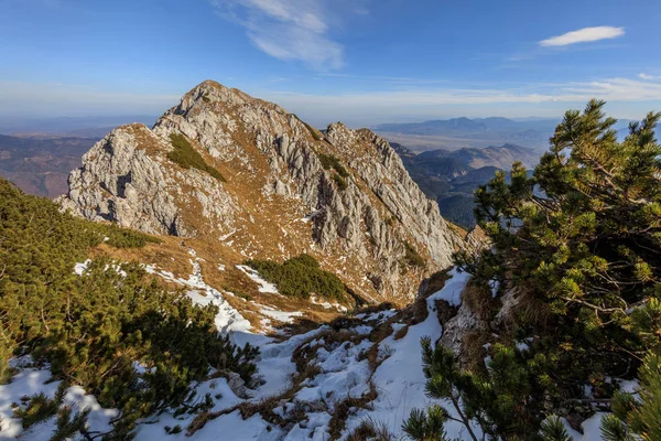 Горный Пейзаж Горах Пьятра Крайулуй Румыния — стоковое фото