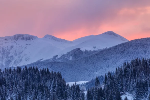 Horská Krajina Zimě Bucegi Mountains Rumunsko — Stock fotografie