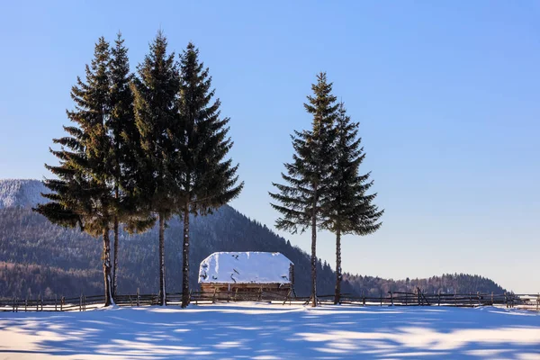 Traditioneel Huis Fundatica Dorp Brasov Roemenië — Stockfoto