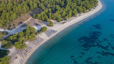 Paragga plaj Glarokavos beach Kassandra Yarımadası'nda. Halkidikya, Yunanistan