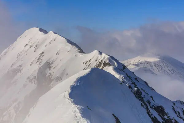 Picco Moldoveanu Inverno Montagne Fagaras Romania — Foto Stock