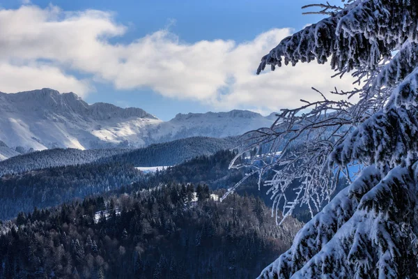 冬の山の風景 ブチェジ山脈ルーマニア — ストック写真