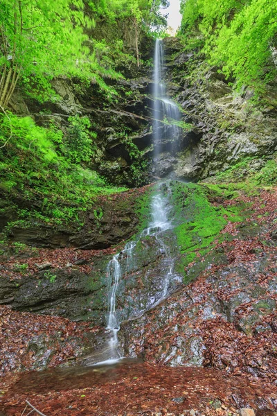 Valea lui stan wąwóz w Rumunii — Zdjęcie stockowe