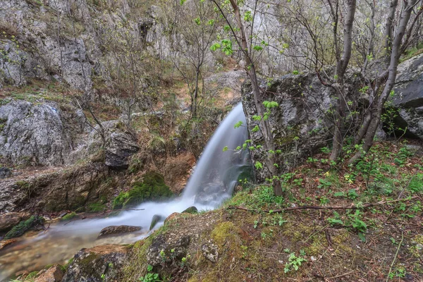 Stream in Gorge Tasnei. Baile Herculane, Romania — Stock Photo, Image