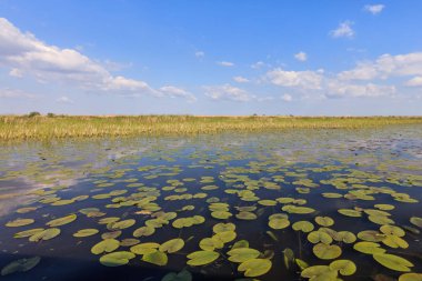Tuna Deltası, Romanya