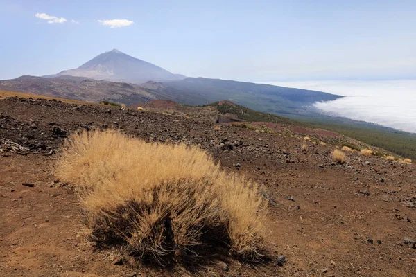 Parque Nacional Teide. Tenerife — Fotografia de Stock