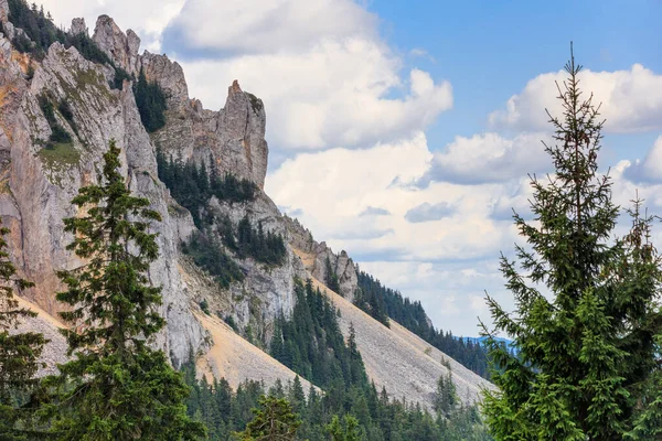 Hasmas Dağları 'ndaki lanet değirmen. Harghita, Romanya