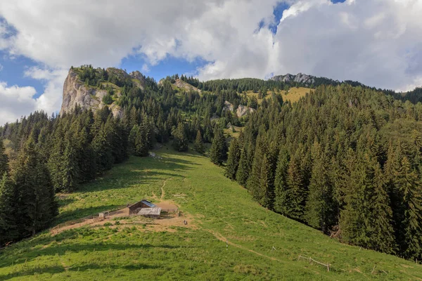 Montagna Zaganu Nel Massiccio Del Ciucas Carpazi Rumeni — Foto Stock
