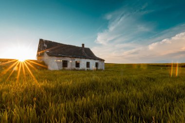 Kum tarlasında eski bir ahır