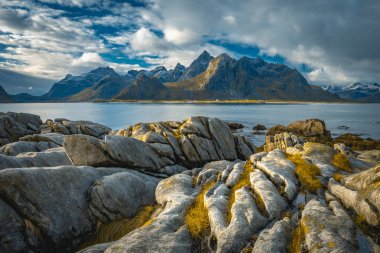 Lofote 'de dağları ve fiyortları olan kayalık bir sahilin manzarası.