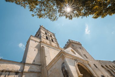 Katedral ve Papa 'nın Avignon' daki sarayı.
