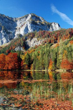 Bergsee bei Herbststimmung mit Gebirge im Hintergrund