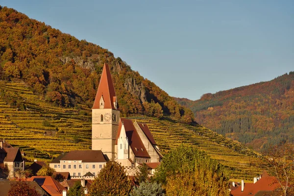 Wachau Austria October 2016 Church Weissenkirchen Vineyards Wachau Fall — Stock Photo, Image