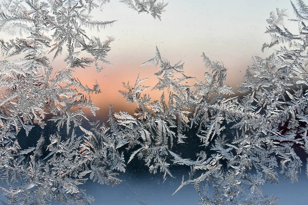 Frost Fern Window Winter Morning — Stock Photo, Image