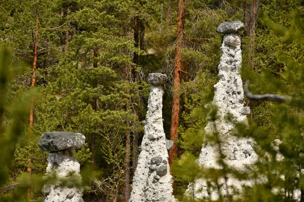 Kvitskriuprestene ノルウェー 2015年6月5日 自然記念碑Kvitskriuprestene近くの販売のための州Oppland ノルウェー 石柱は浸食によりモレーン材で作られている — ストック写真