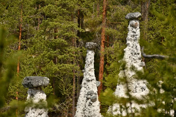 Kvitskriuprestene Norsko Června 2015 Přírodní Památka Kvitskriuprestene Selu Provincii Oppland — Stock fotografie