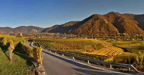 Wachau Austria Octubre 2016 Ciudad Weissenkirchen Valle Del Danubio Llamado — Foto de Stock