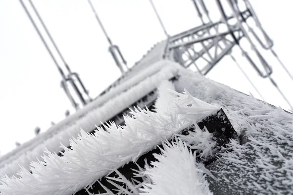 Elektrik direğine buz iğneleri.