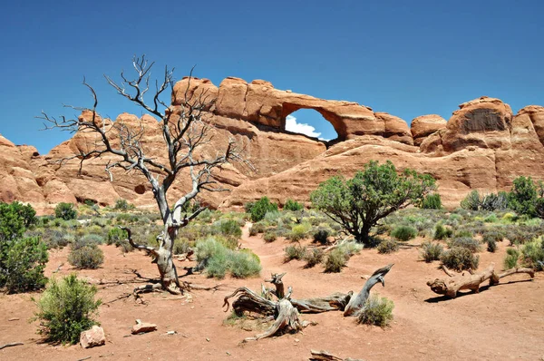 Skyline Arch Ein Sandsteinbogen Arches National Park Utah Estados Unidos — Foto de Stock