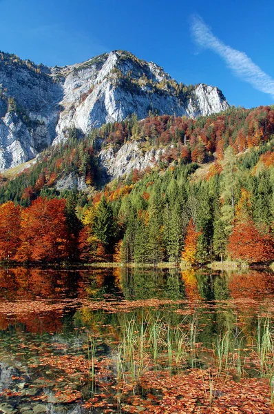 Bergsee Bei Herbststimmung Mit Gebirge Hintergrund — Foto de Stock