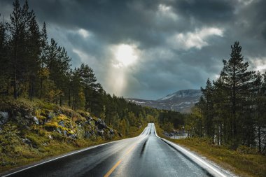 Kuzey Norveç 'in ıssız yolları Yağmurlu havalarda
