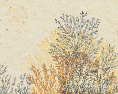 Avusturya, Salzburg 'dan demir ve manganez dendritleri