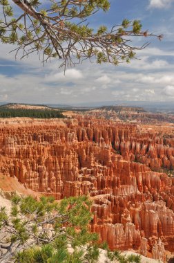 Bryce Canyon, Usa - 3 Ağustos 2010: Bryce Canyon Utah, Usa. 