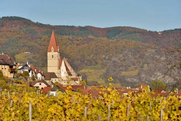 Wachau Austria October 2016 Town Weissenkirchen Vineyards Wachau Fall Famous — Stock Photo, Image