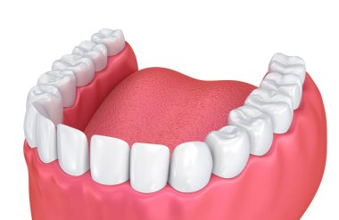 Ağzına sakız ve dişler. Tıbben doğru diş 3d çizim  