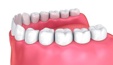 Mouth gum and teeth. Medically accurate tooth 3D illustration   clipart