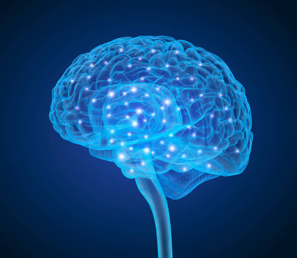 Рентгеновское сканирование мозга человека, медицинская точность 3D иллюстрации
 