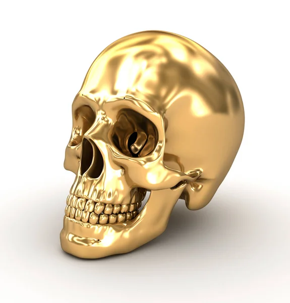 金色人类的头颅骨三维图 — 图库照片